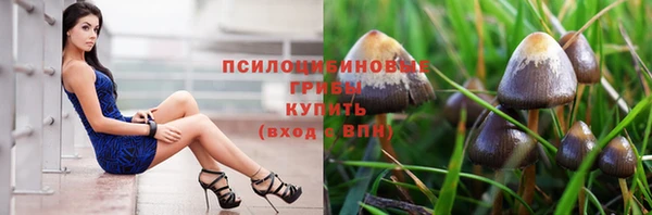 сатива Аркадак