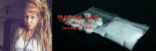 сатива Аркадак