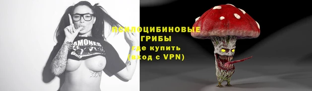 сатива Аркадак
