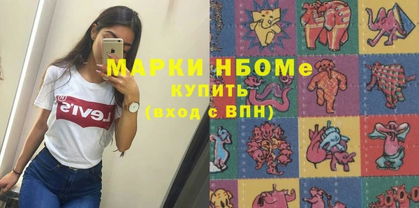 сатива Аркадак