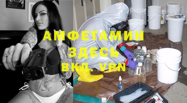 сатива Аркадак