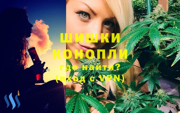 сатива Аркадак