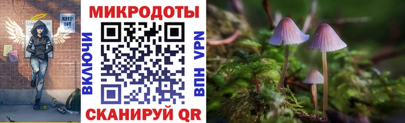 Галлюциногенные грибы мухоморы  Мезень 